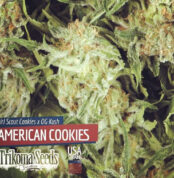 trikoma_americancookies